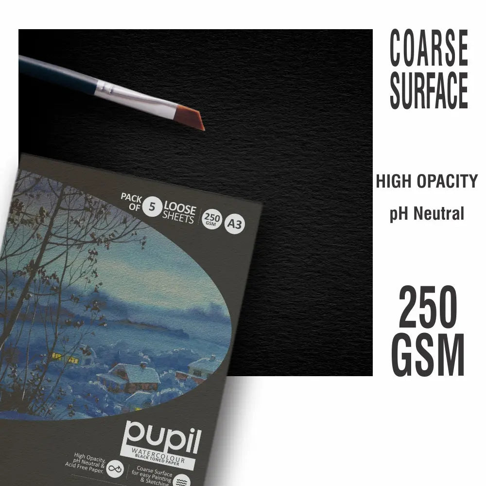 Anupam Pupil Watercolour Black Toned Loose Sheets - 250 GSM Anupam