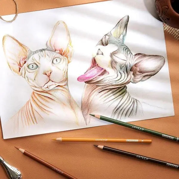 Arteza Colored Pencils Expert Assorted Colors Set