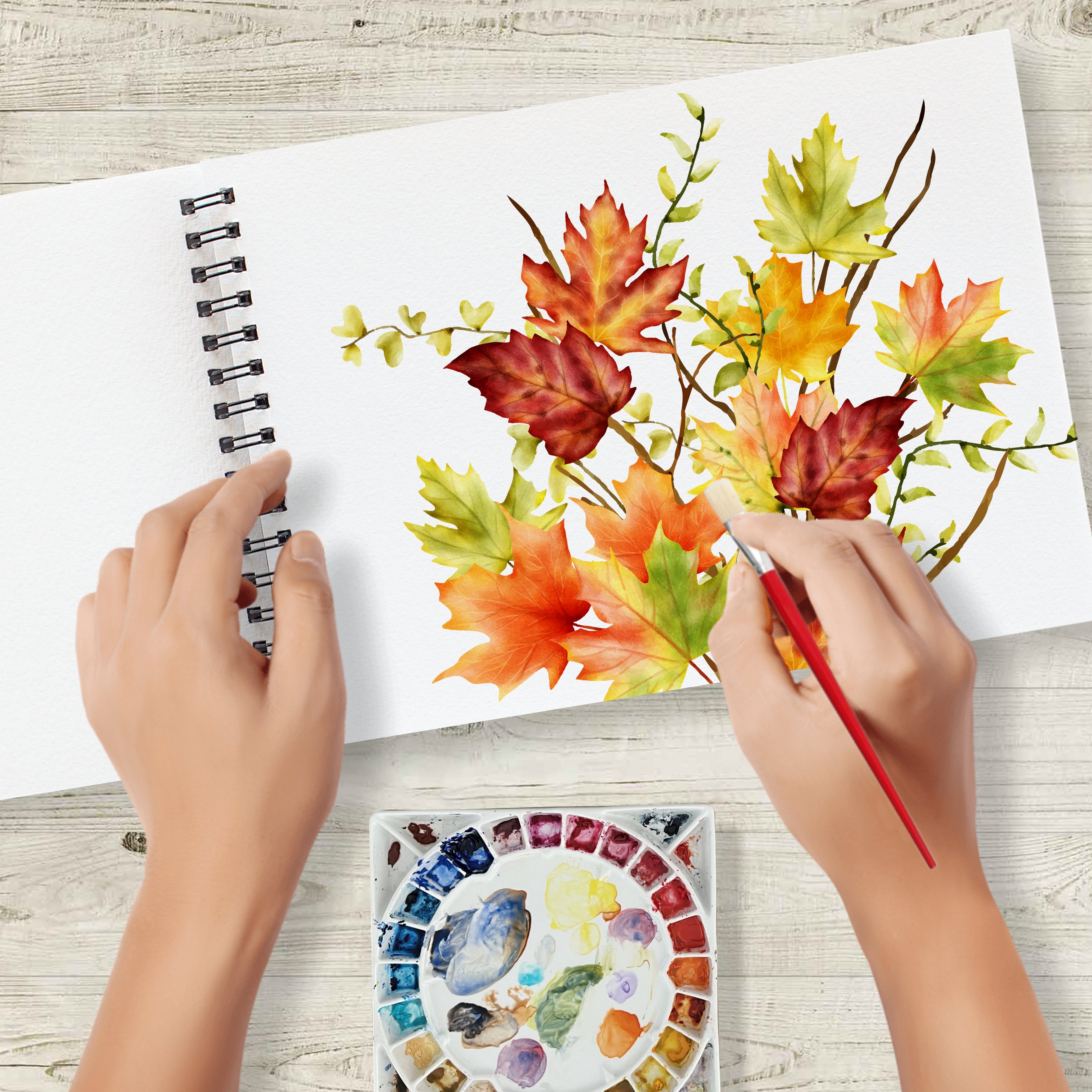 Anupam Watercolour Paper Wireo Book -Cold Pressed-natural White-(200 GSM & 300 GSM)