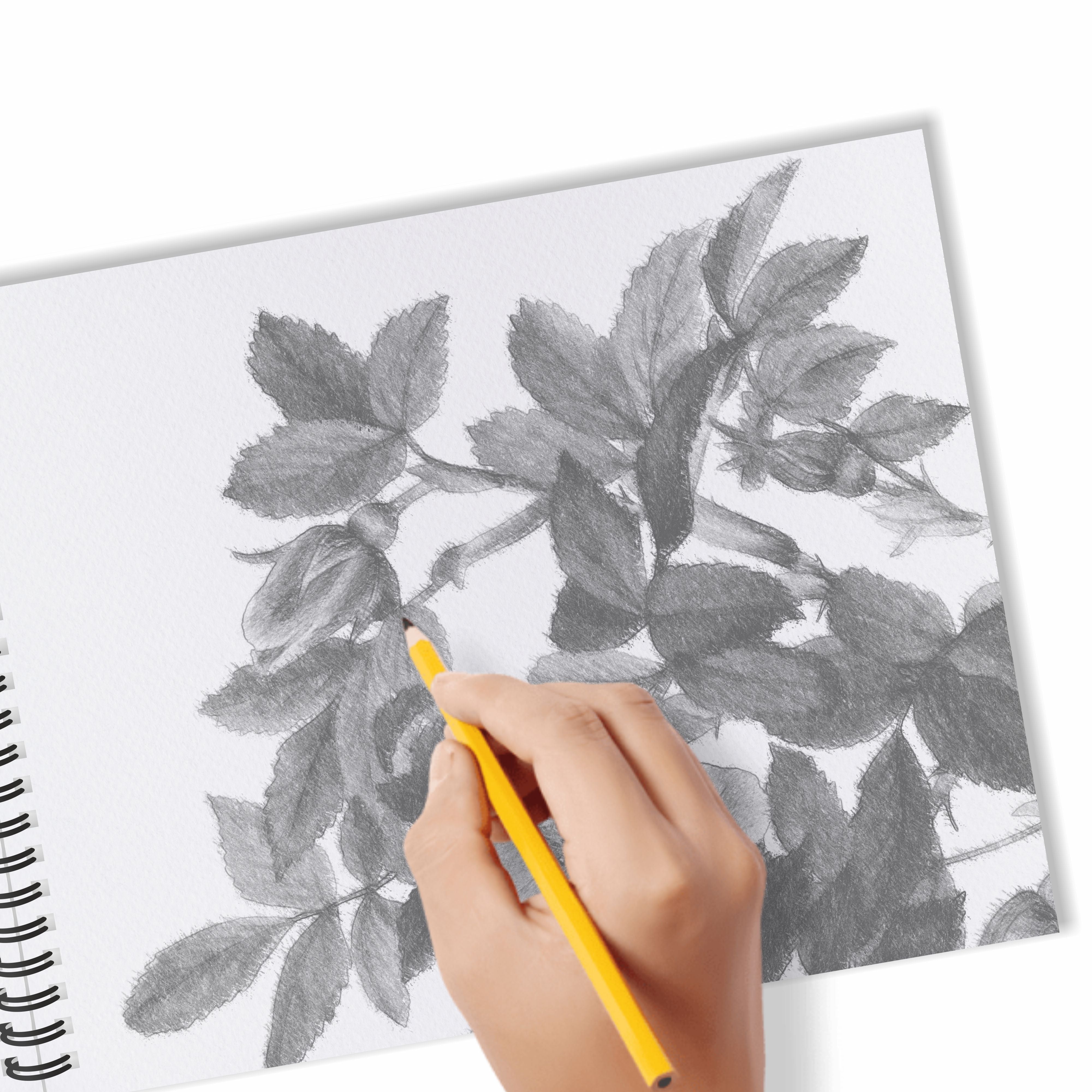 Anupam Wiro Bound Ivory Paper Sketchbook - 200 GSM - 20 Sheets