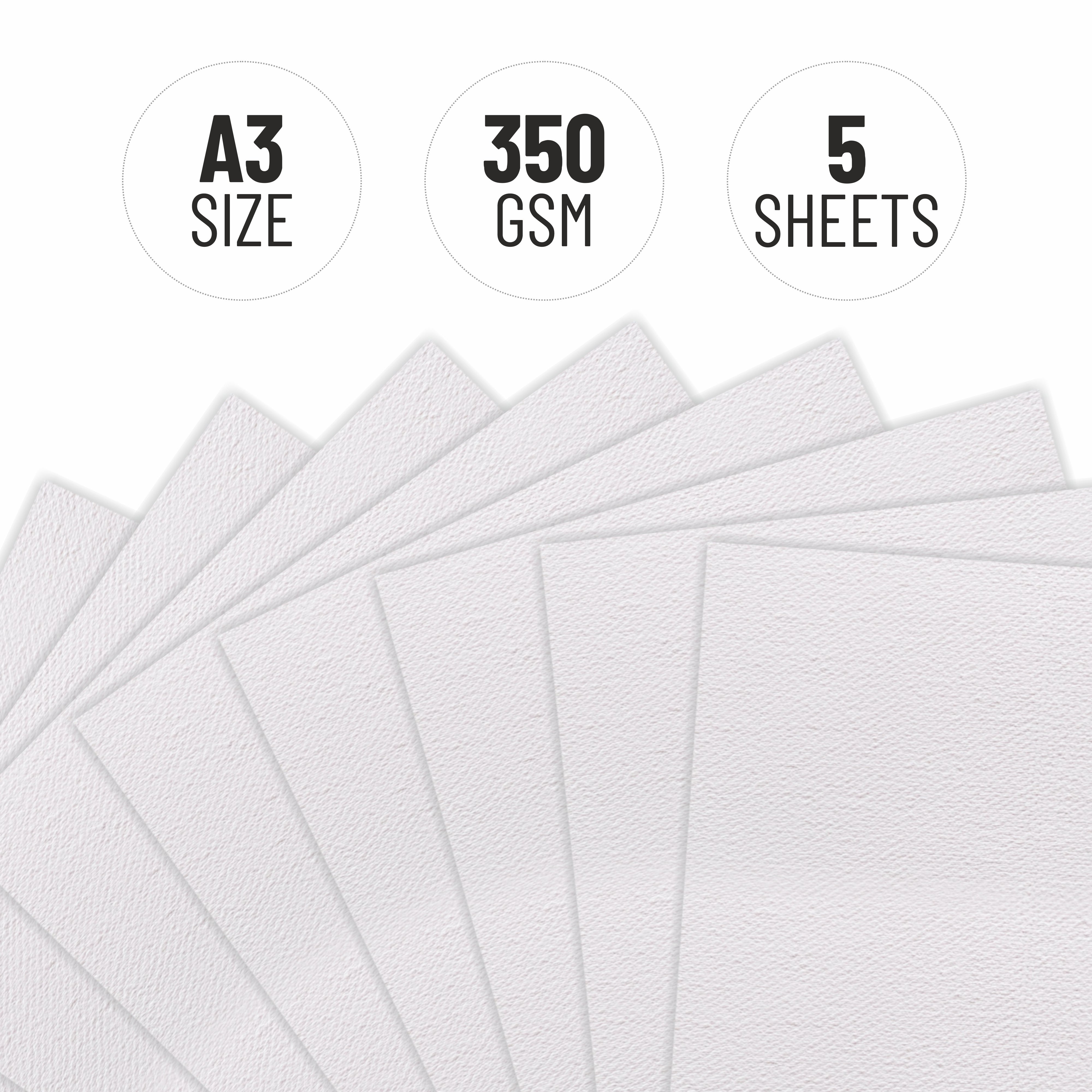 Translucent Oiled Paper Oil Paper